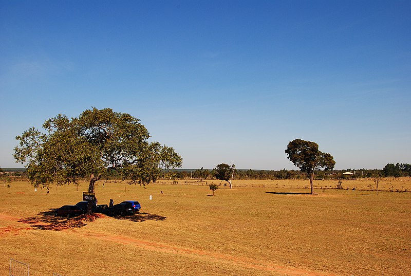Cerrado Sul-Mato-Grossense — Trilhas e Mirantes